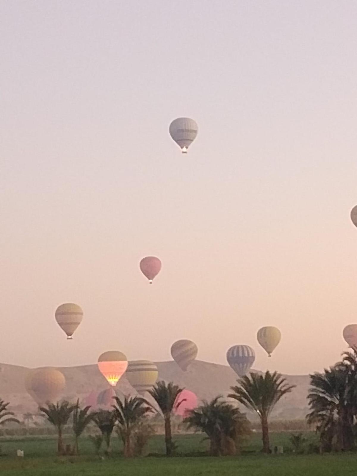 Egypt Amon Hotel Luxor Bagian luar foto
